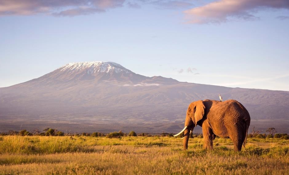 Safari in Tanzania dal 14 al 24 settembre 2025