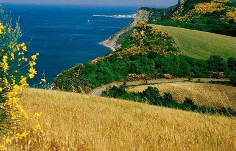 Parco Naturale Monte San Bartolo: Escursione fra mare e collina